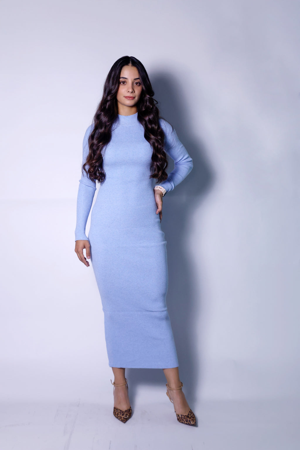 Stretchy Bodycon Long Knit Dress