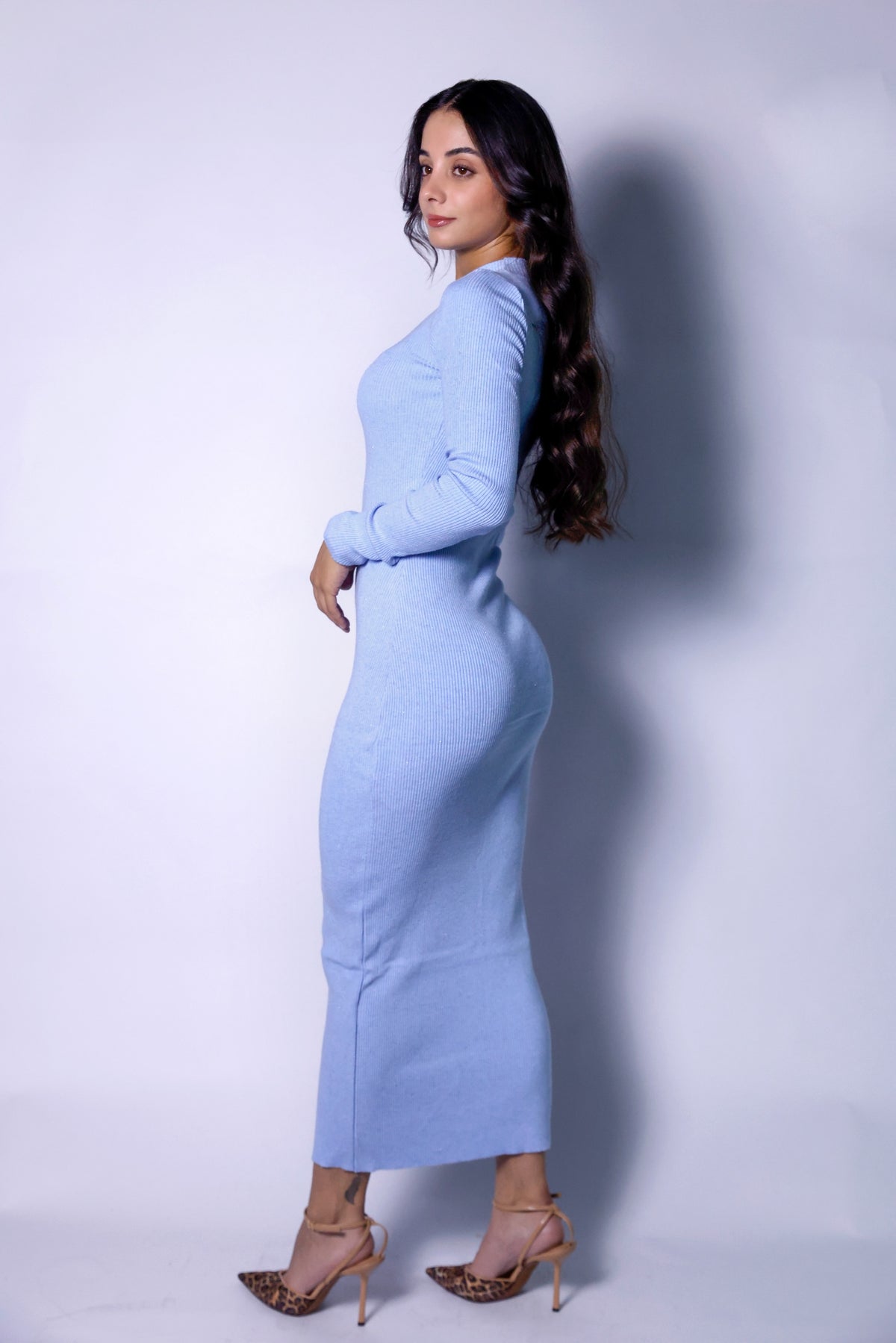 Stretchy Bodycon Long Knit Dress